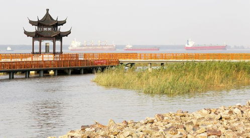 激活文化遺產(chǎn),融合產(chǎn)業(yè)發(fā)展 五彩沙洲 杯文創(chuàng)旅游商品設(shè)計大賽即日啟動